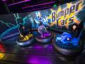 Bumper Cars