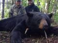 Agassiz Outfitter, black bear hunting