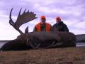 Agassiz Outfitter, moose hunting