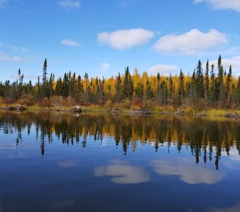 Johnson Road Outfitters