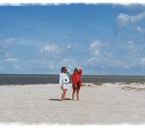 Parque Provincial de la Playa de St. Ambroise