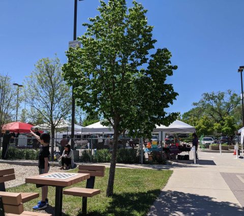 Mercado de agricultores de Bronx Park