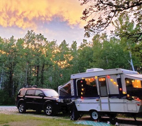 Friedlich campen im Garten