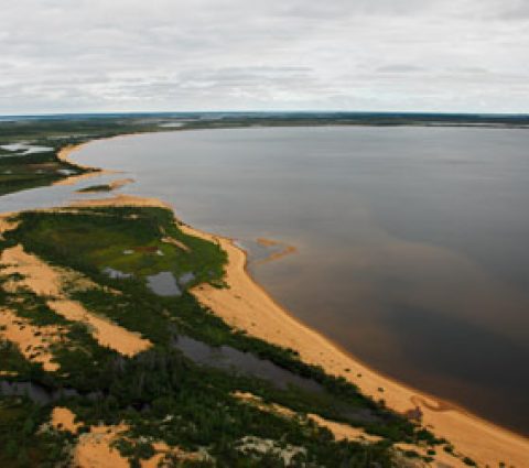 Parque Provincial del Río Caribou