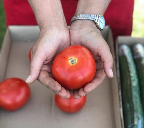 Mercado agrícola de Carman