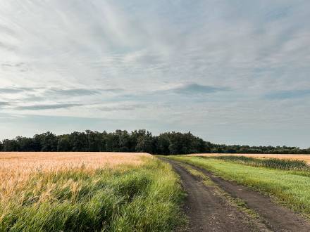 Accès principal à la ferme Down Home