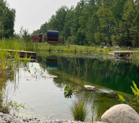 Organic Pool and Sauna