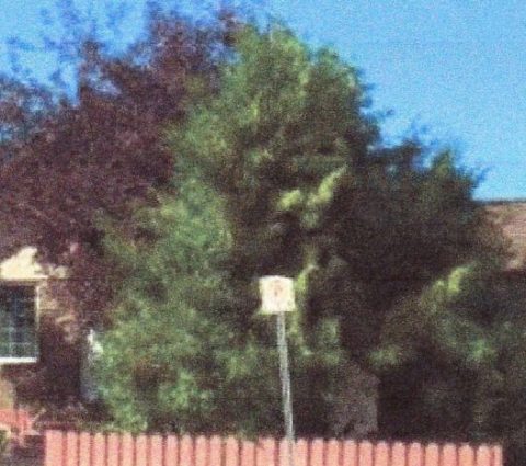 Alojamiento y desayuno Raven's Nest