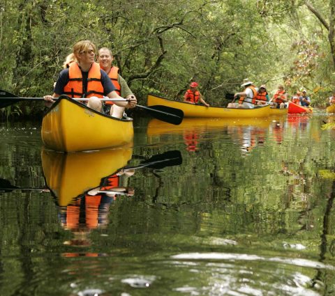 piragüismo en grupo
