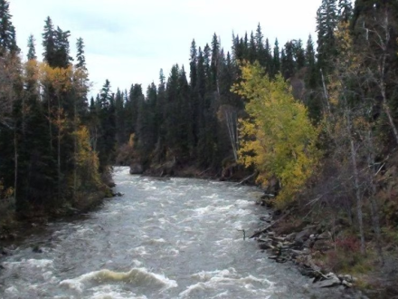 Bear North Outfitters où nous sommes