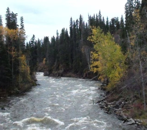 Bear North Outfitters où nous sommes