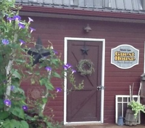 Pensión Thistle Lane Bed & Breakfast