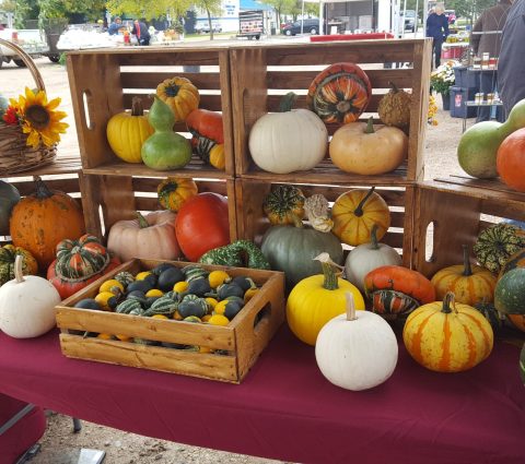 Mercado agrícola de Lac du Bonnet