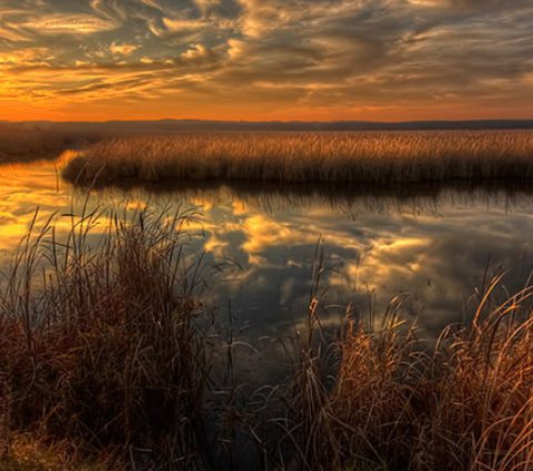 Oak Hammock Outfitters