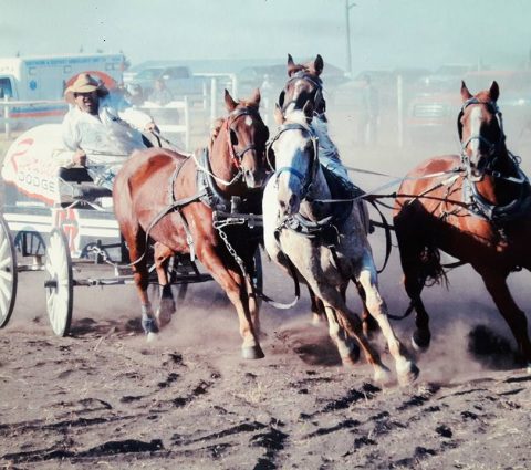 Opasquia Agricultural Society