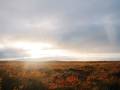 View of the tundra