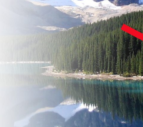 Big Track Outfitters