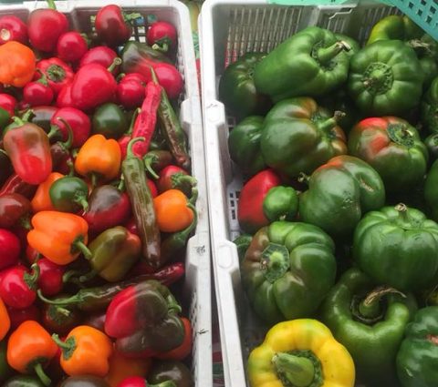 Marché fermier de Steinbach et du district