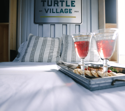 Hébergement à Turtle Village