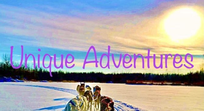 Unique Adventures Dog Sled