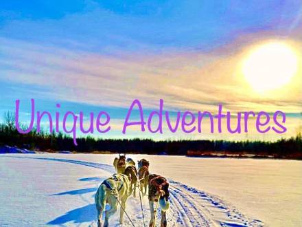 Traîneau à chiens Unique Adventures