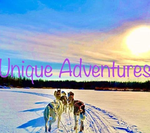 Trineo tirado por perros Unique Adventures