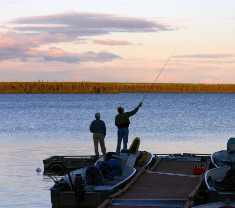 pesca desde muelle