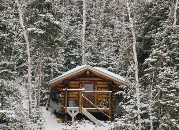 Una pequeña cabaña de madera enclavada en un bosque siempre nevado.