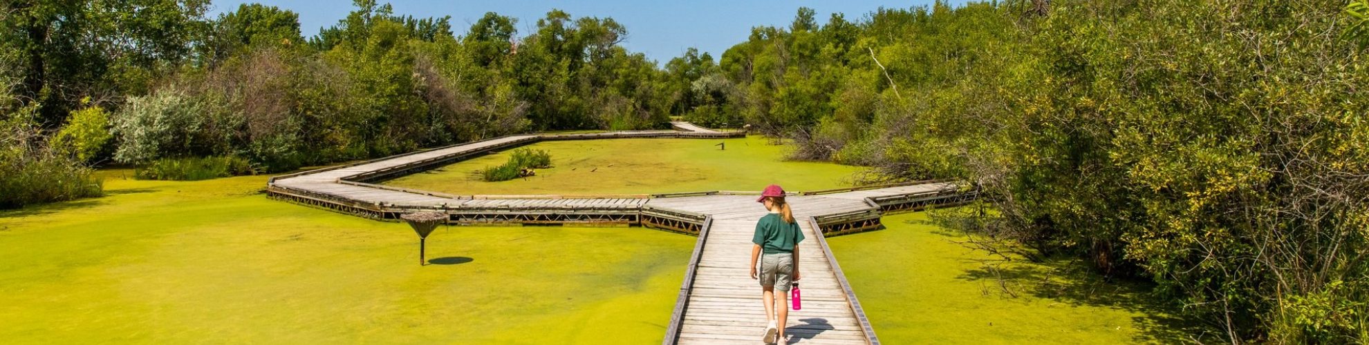 Una joven camina por el paseo marítimo de Fort Whyte Alive.