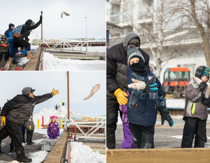 Joyful camaraderie at Gimli's fish toss event, where people of all ages join in the spirited fun of tossing fish.