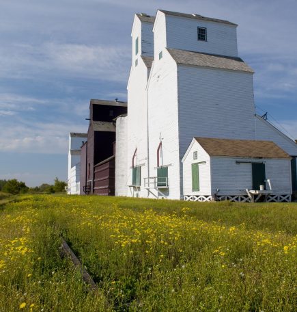 El blanco Inglis Grain Elevators con flores silvestres amarillas creciendo a lo largo de las antiguas vías del tren.