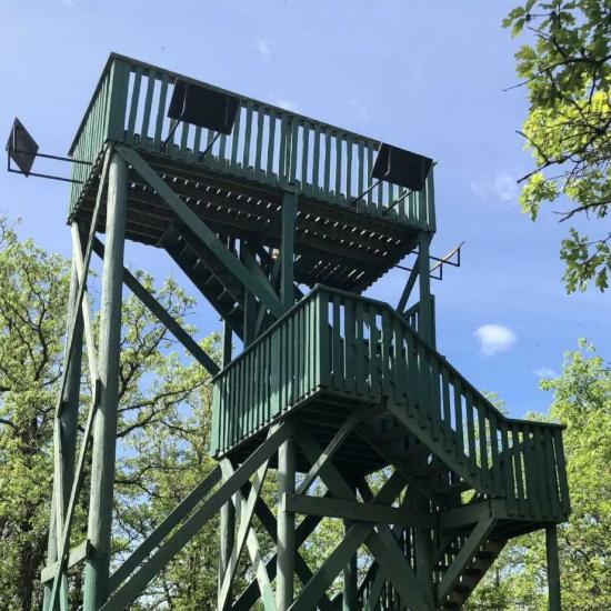 La torre del lago Metigoshe domina el sereno paisaje y ofrece vistas panorámicas de la belleza de la naturaleza.