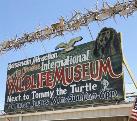Enseigne de la façade du Musée international de la faune et de la flore, qui invite les visiteurs à explorer un monde de faune et de flore diverses et fascinantes.