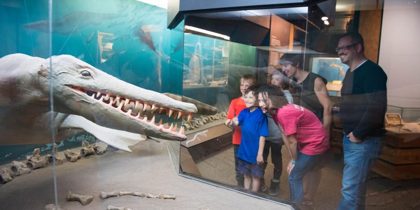 Tinitingnan ng isang tour group ang isang modelo ng isang mosasaur sa Canadian Fossil Discovery Center.