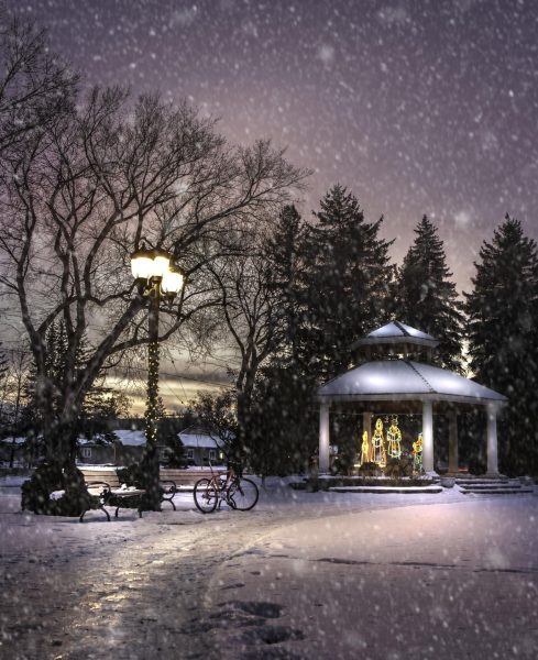 Nababalot ng niyebe ang pergola pagkatapos ng paglubog ng araw, sa panahon ng mahinang pag-ulan ng niyebe.