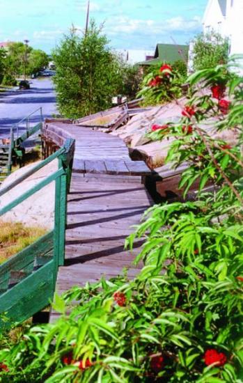 Flin Flon wood walkway na may malalagong tinutubuan na mga halaman, na pumupukaw sa kagandahan ng tag-araw at potensyal nito.