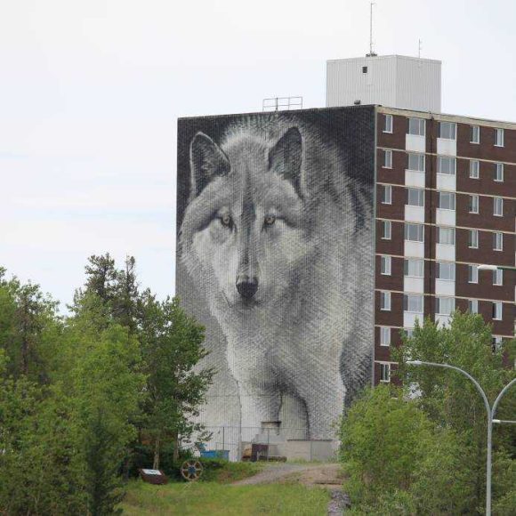 Wolf-Wandbild schmückt Wohnhaus: Ein beeindruckendes städtisches Kunstwerk, das die wilde Schönheit und den Geist der Natur feiert.