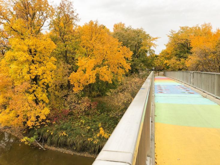 St. Boniface Bridge in Fall: A burst of autumn hues paints the vibrant canvas of this picturesque and colorful bridge scene.