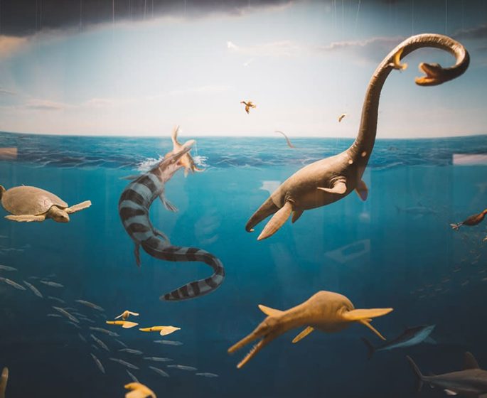 Canadian fossil discovery centre