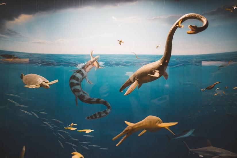 Canadian fossil discovery centre