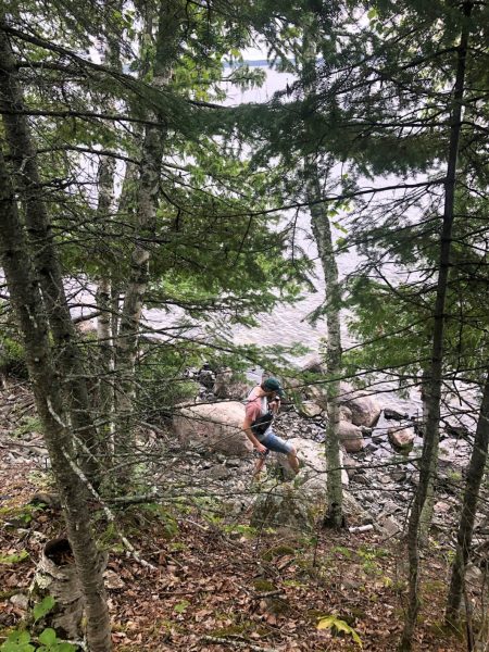 Eine Person wandert durch den Wald entlang des felsigen Ufers eines Sees.