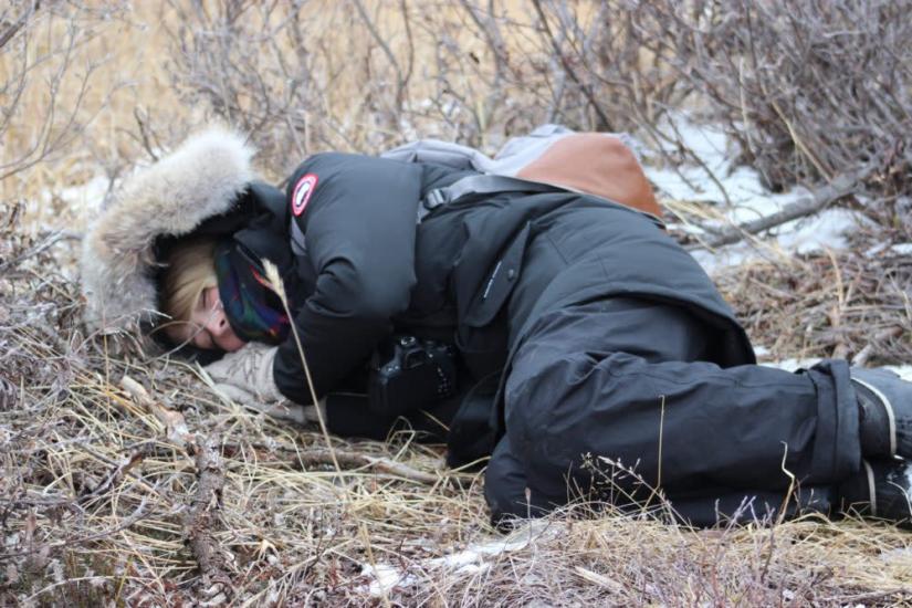 Adult curled up in brush, wearing Canada Goose and ski pants on a cold day, highlighting winter warmth in Manitoba's outdoors
