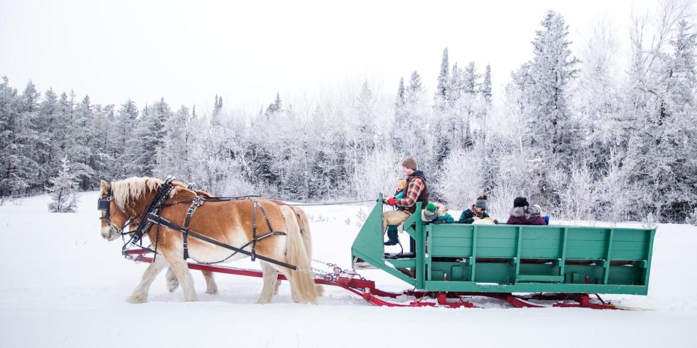 Un trineo verde con personas tirado por dos caballos belgas a través de un campo nevado.