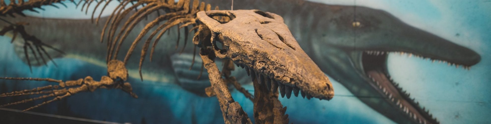 MordenWinkler Places To Go Travel Manitoba