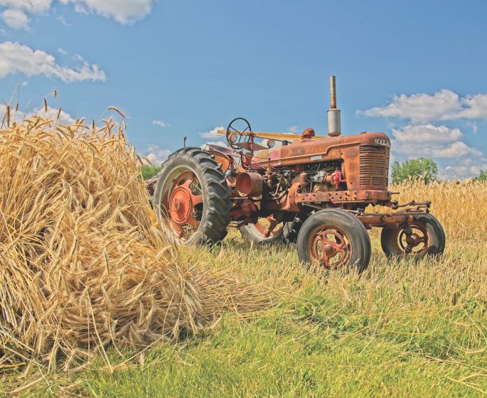 tractor in wheat field