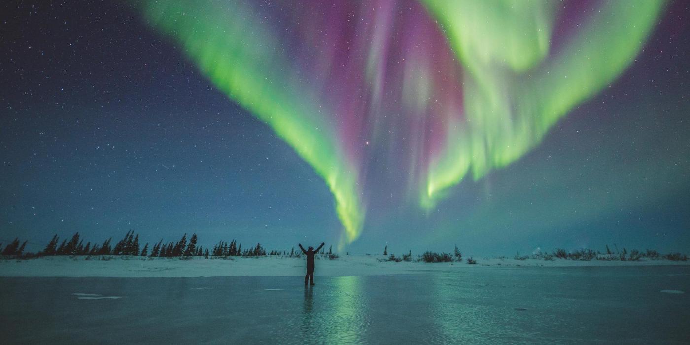 Where, when and how to see northern in Churchill, Manitoba | Travel Manitoba