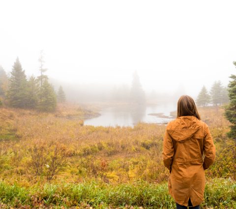 A person standing at the edge of a marsh, looking out over the fog covered water.