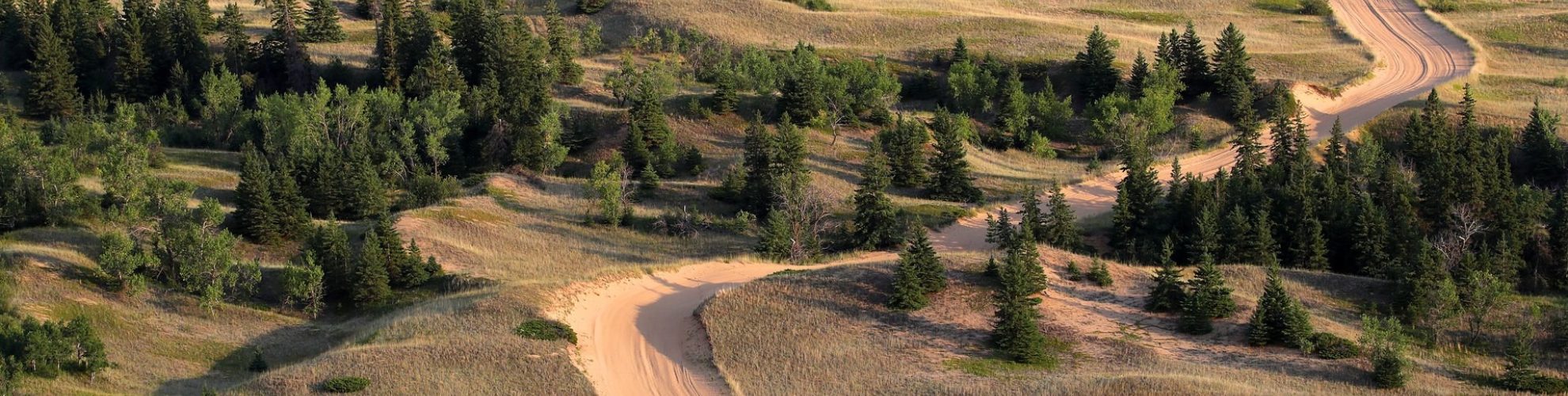 Spruce Woods Provincial Park