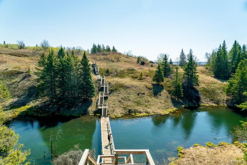 Wood stairs and boardwalk across a small green lake at Spirit Sands. Some trees line the lake. Clear, sunny day.