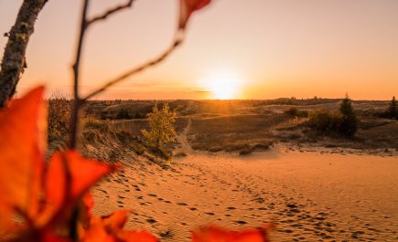 Looking across the dunes at sunset, Sandilands Provincial Forest